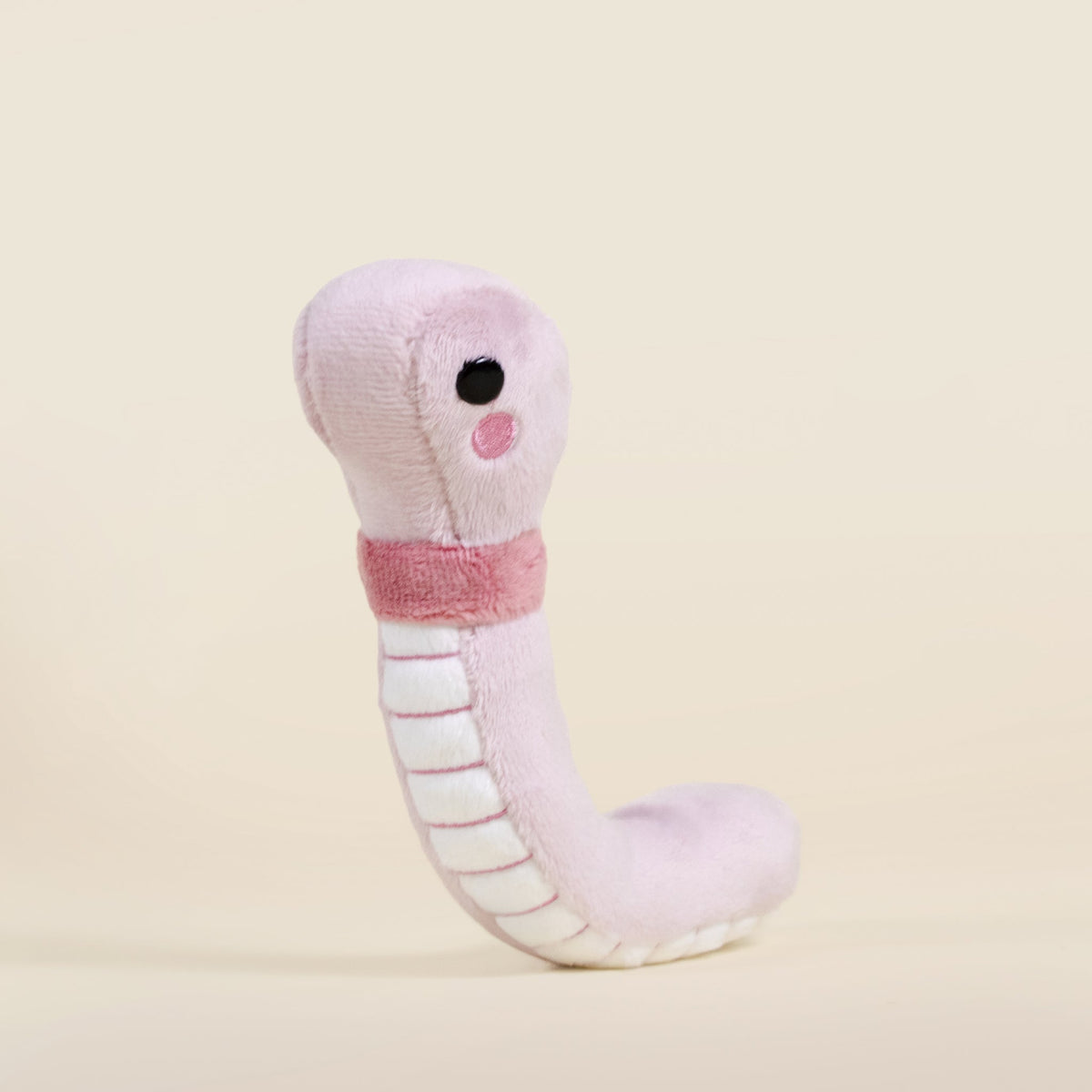 Mini Wormi the Worm