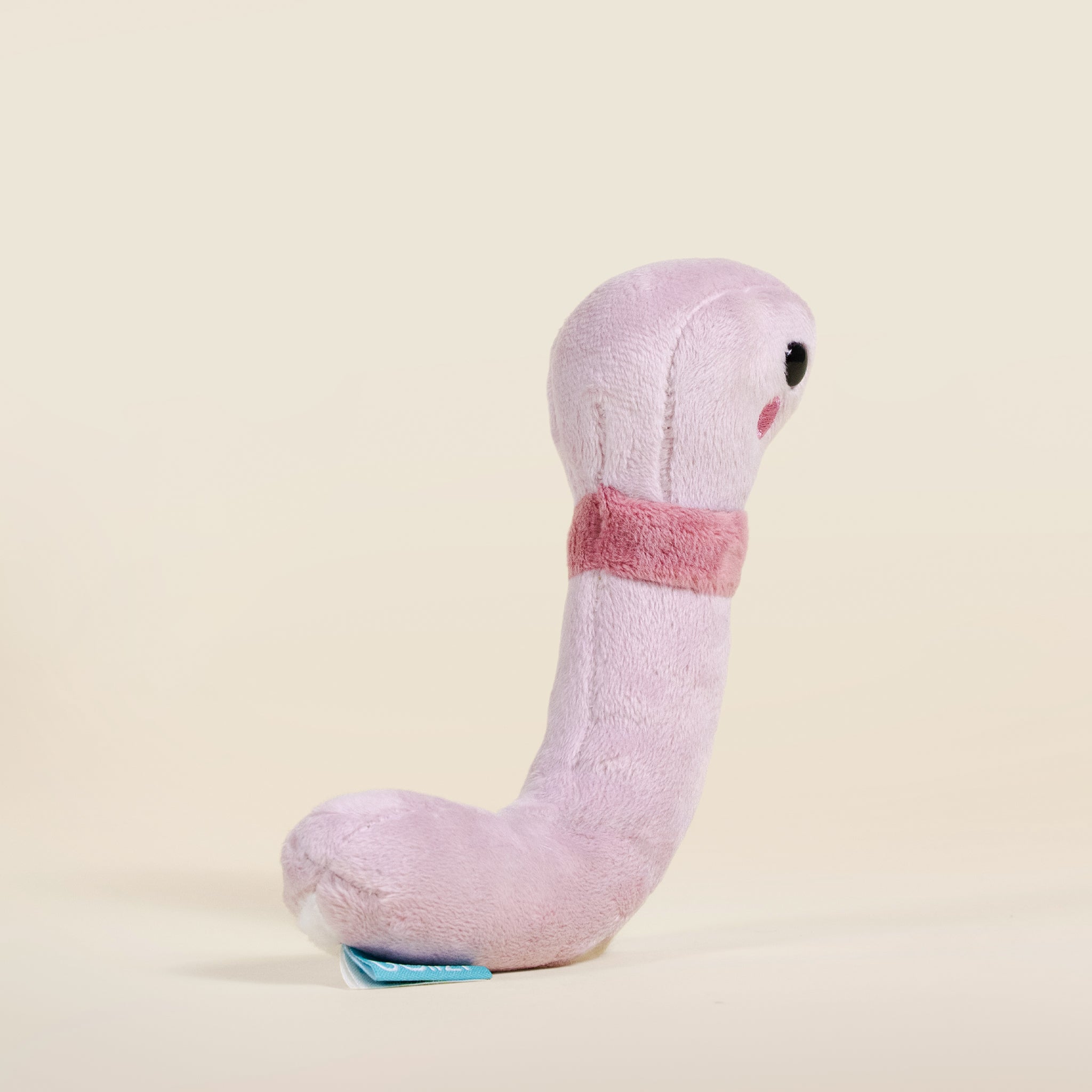 Mini Wormi the Worm
