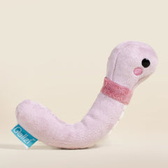 Mini Wormi the Worm
